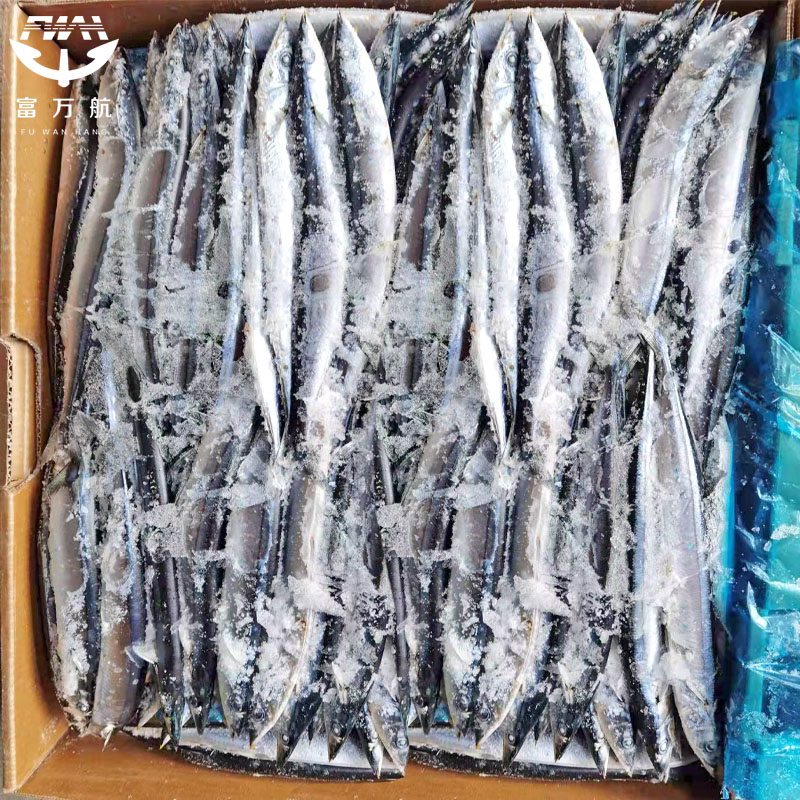 Japanese Frozen Seafood Pacific Saury Fish