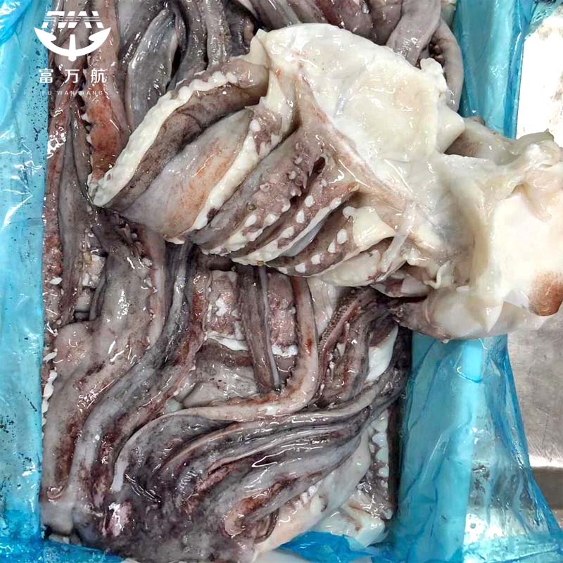 Frozen Seafood Giant Equator Squid Tentacle