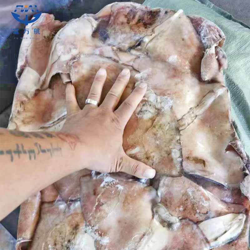 Замороженные морепродукты Северо-тихоокеанские крылья кальмара