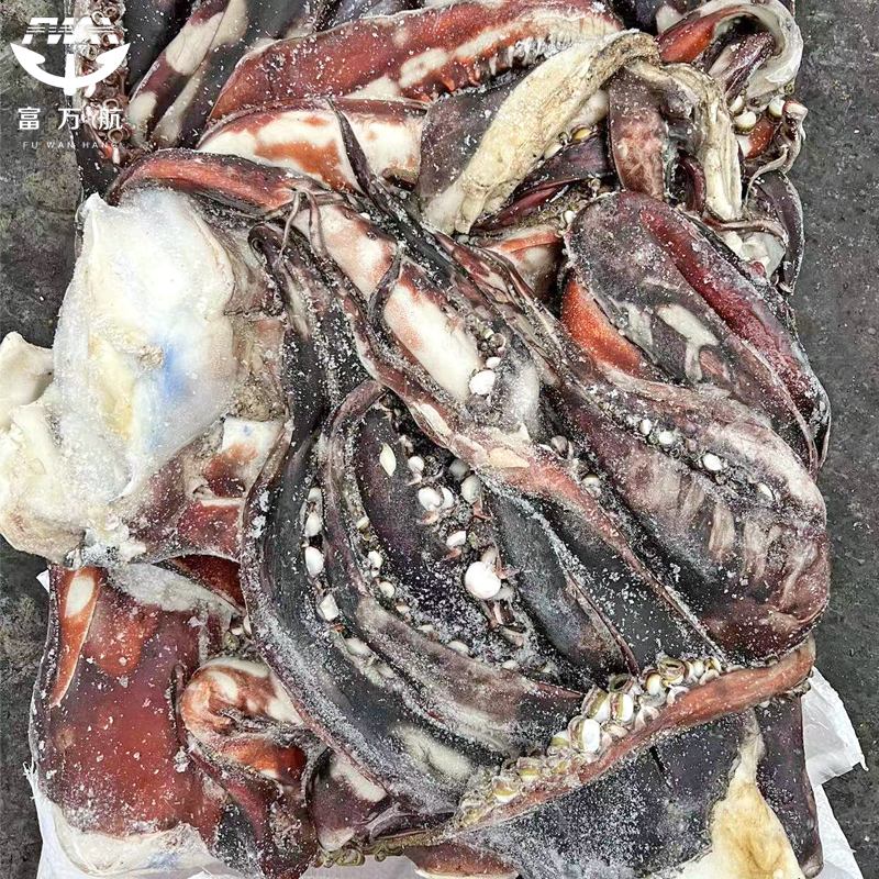 Замороженная голова гигантского кальмара
