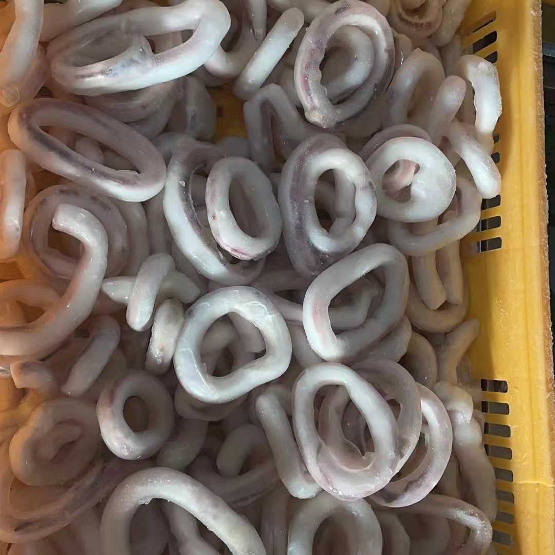 squid ring