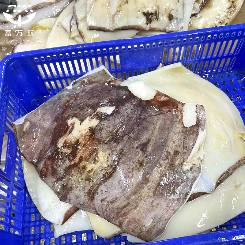 Frozen squid fillet (skin on)