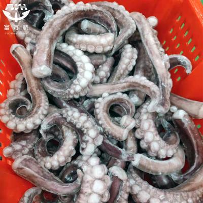 IQF Seafood Frpzen Squid Tentacle Cut