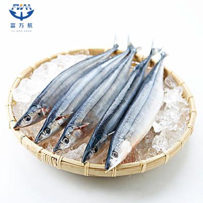 Japanese Frozen Seafood Pacific Saury Fish