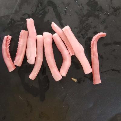 IQF Seafood Frpzen Squid Tentacle Cut