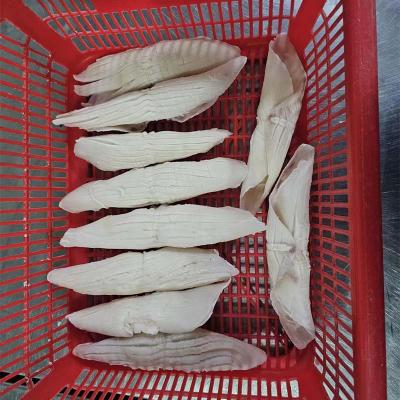 New Process Skinless Frozen Rocket Squid Flower