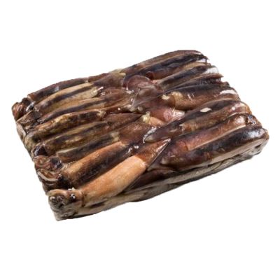 BQF illex squid raw whole squid