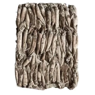 New Stock Frozen Seafood Black Squid
