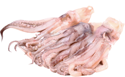 Frozen Seafood Small Size Indian Ocean Squid Head
