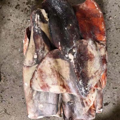 Sea Frozen Giant Peru Squid Raw Tube Squid Meat