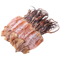 Frozen Seafood Dried Peru Squid Whole Round