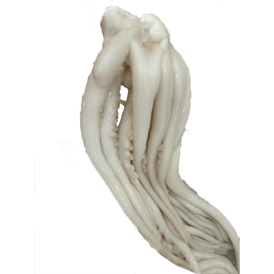 Skinless Squid Tentacle
