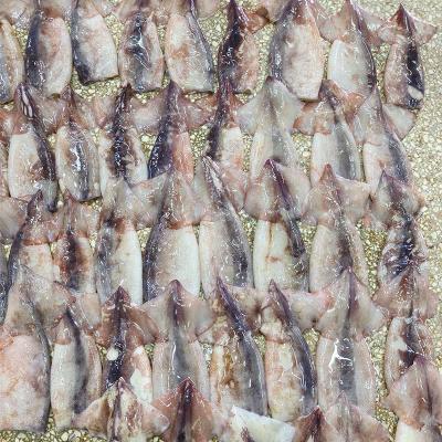 Illex Squid Dirty Tube